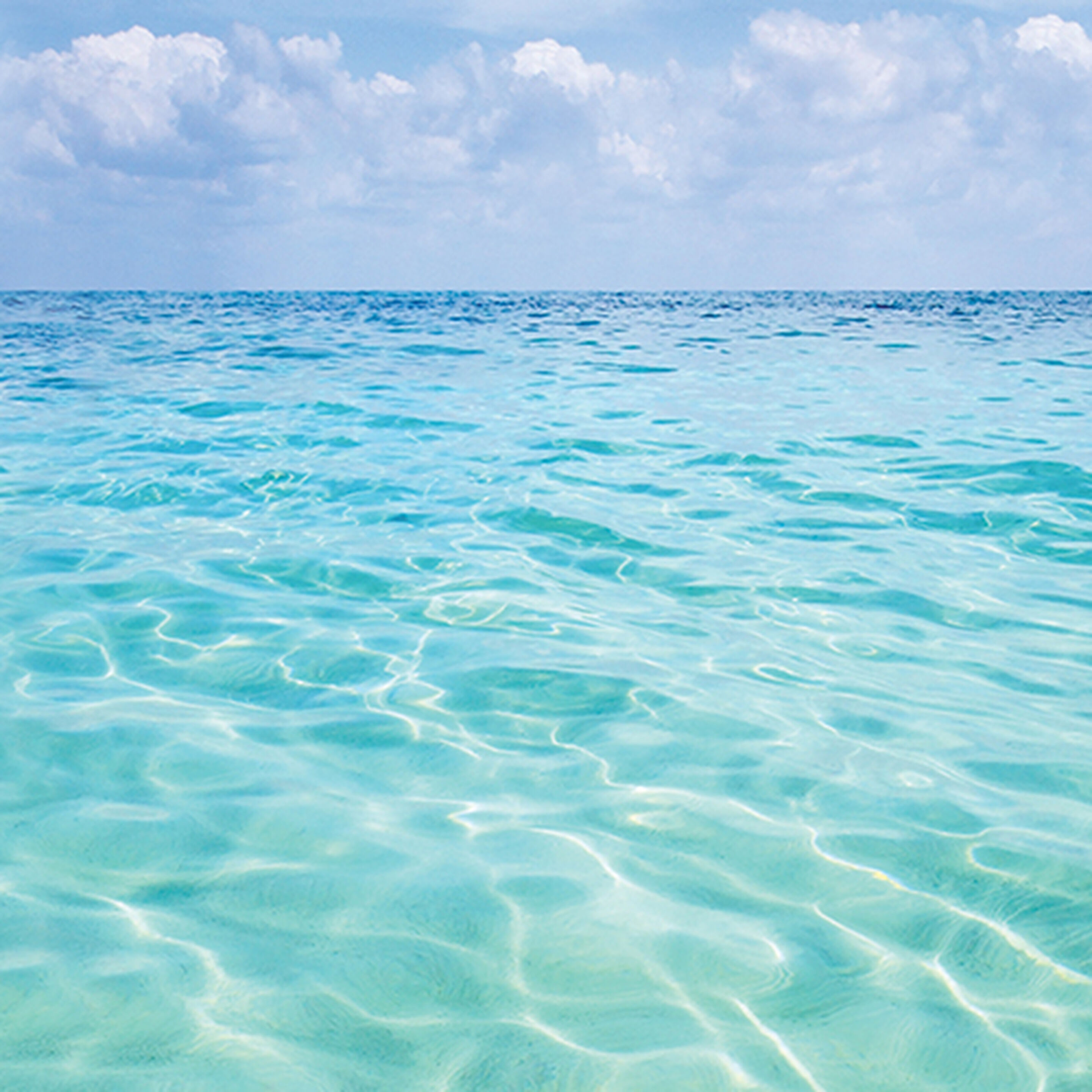 MDW - Beach Collection